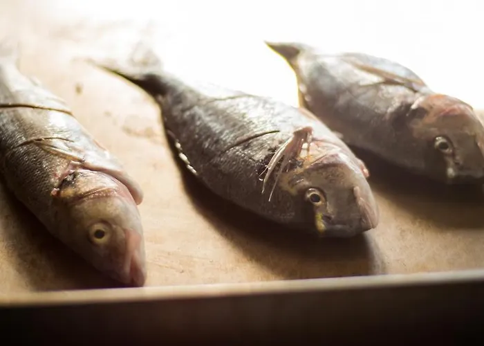 Apartment Resort 코마르나